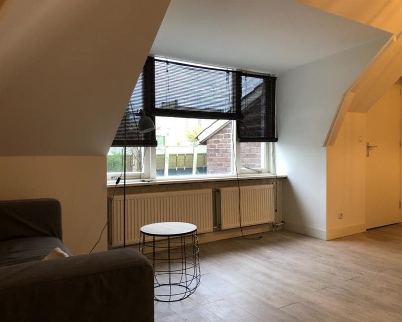 Kamer in Renkum