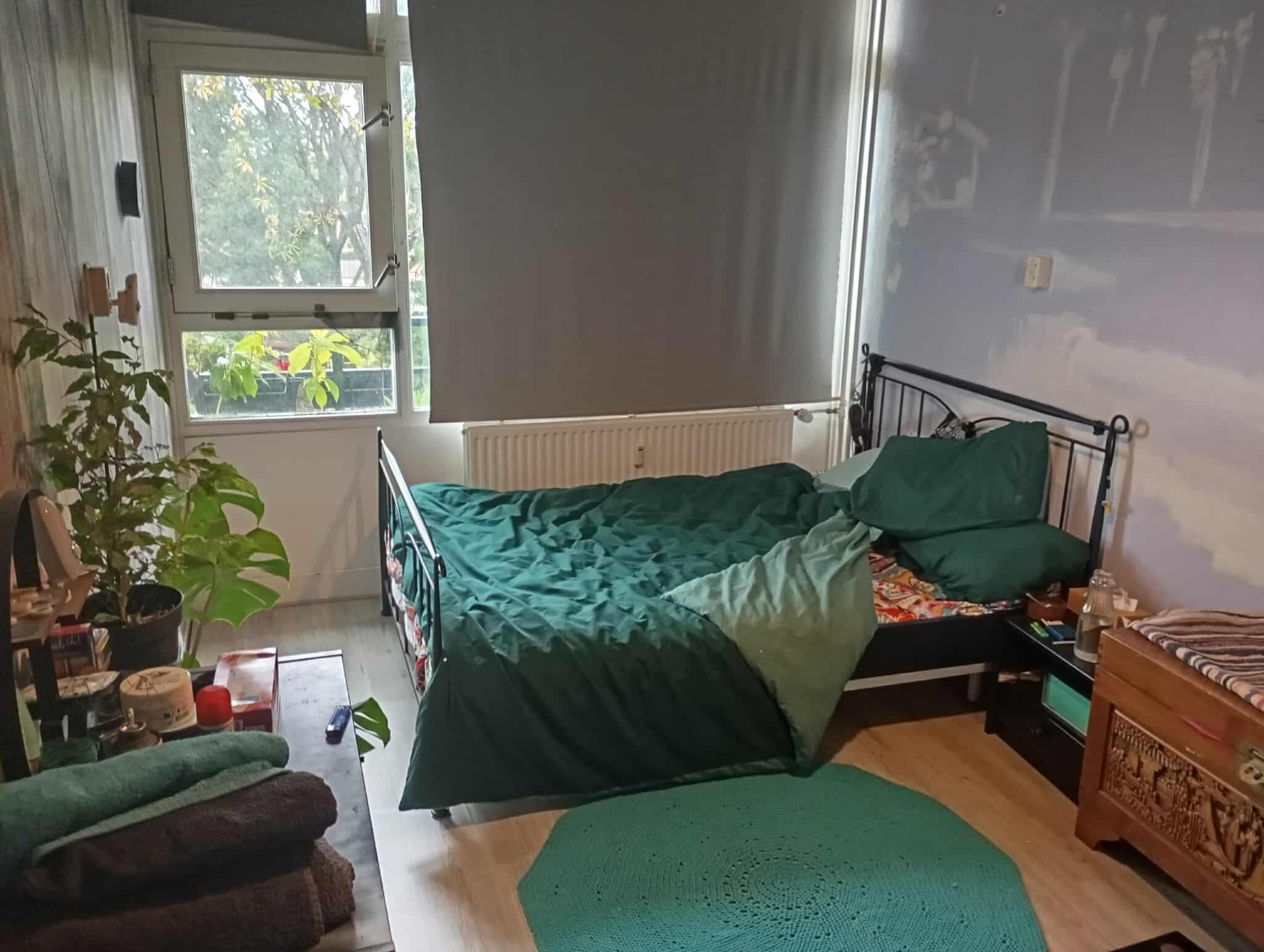 Kamer in Vianen