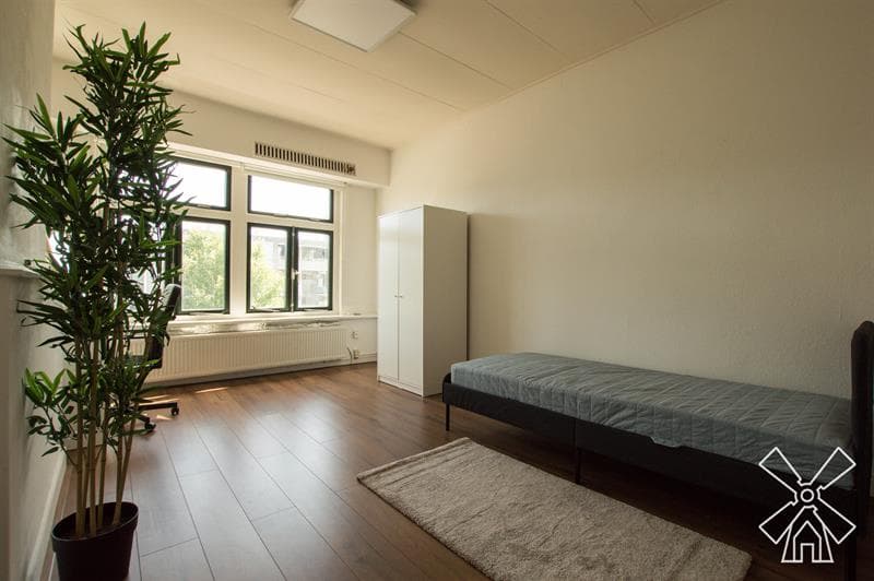 Kamer in Den Haag