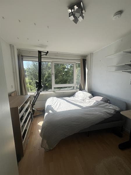 Kamer in Delft