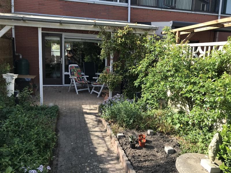 Kamer in Amsterdam