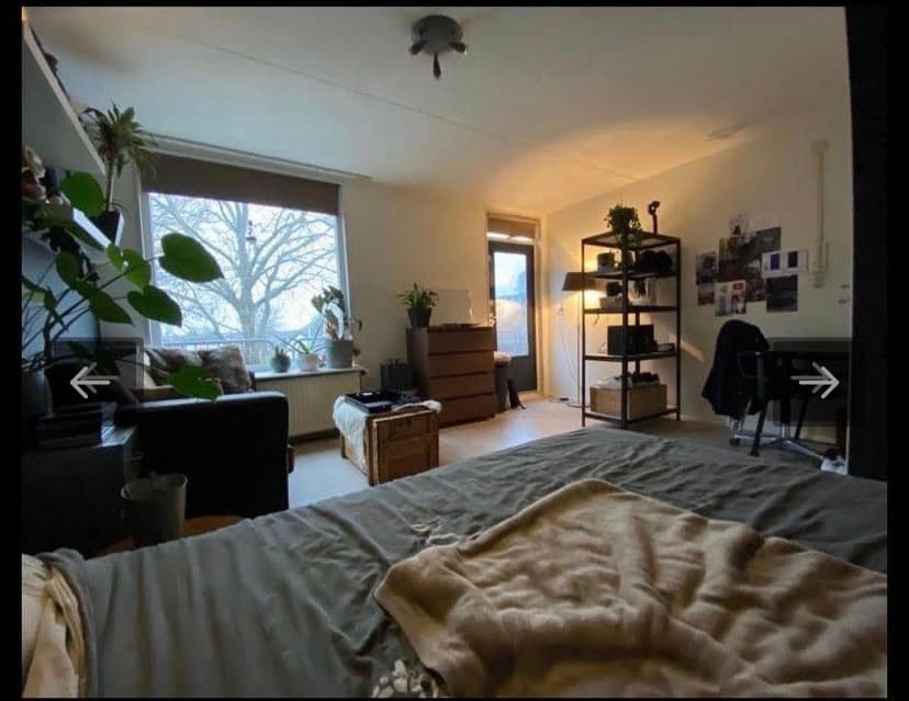 Kamer in Apeldoorn