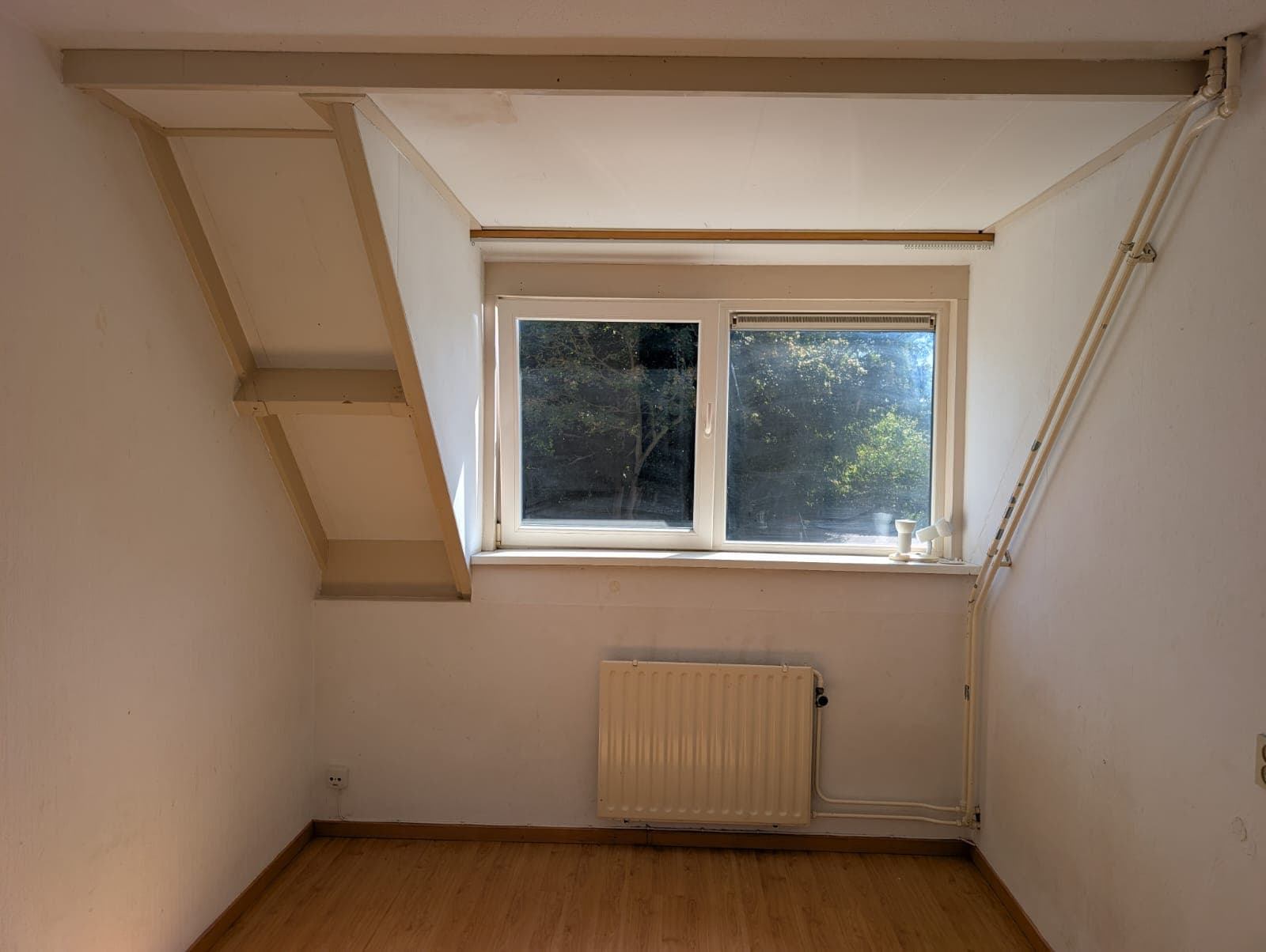 Kamer in Alkmaar