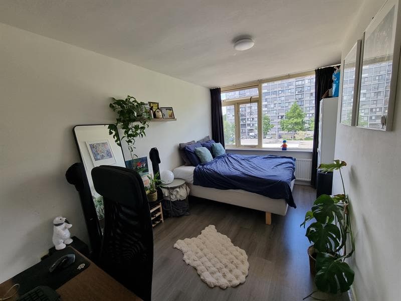 Kamer in Utrecht