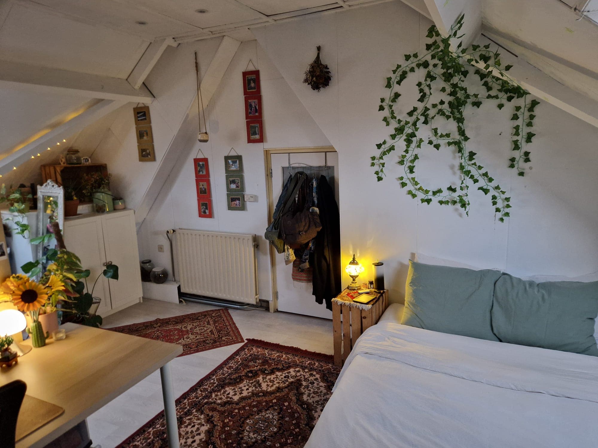 Kamer in Nijmegen