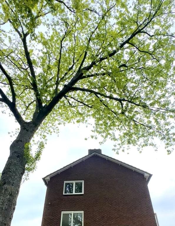 Appartement in Hilversum